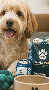 Happy dog beside pet wellness products